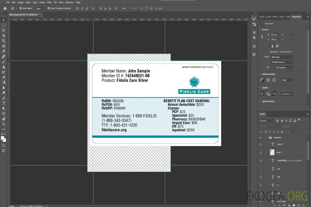 Carte d'assurance maladie New York Fidels Care template